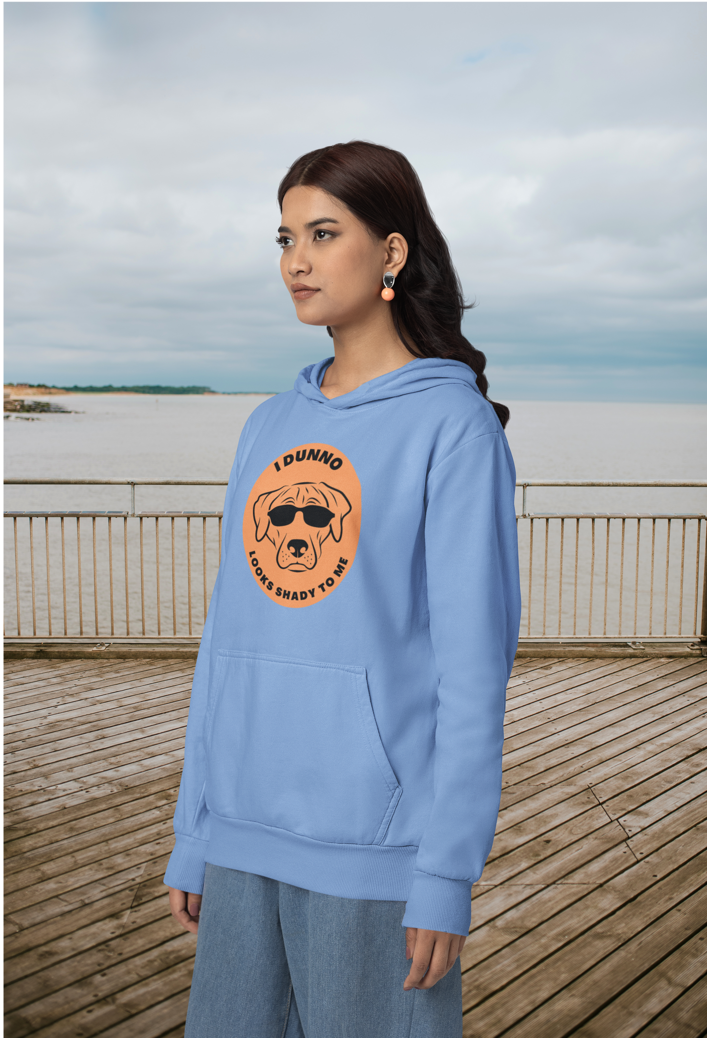 I Dunno Looks Shady To Me - Heavy Blend™ Hooded Sweatshirt